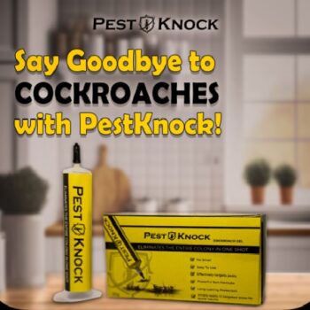 Cockroach Killer Powerfull PestKnock Gel